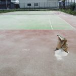 テニスコート整備　砂撒きしました。2017/05/14