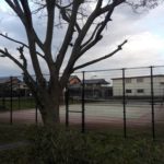 2017/11/15(水) 午後 ソフトテニス練習会@滋賀県近江八幡市