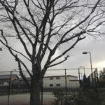 2018/01/21(日)午前　ソフトテニス・個別練習会